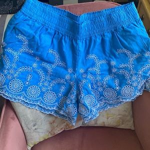 J. Crew Blue Cotton Linen Shorts M NWOT